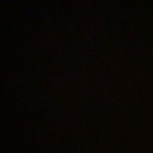 Meet your Posher, Willie